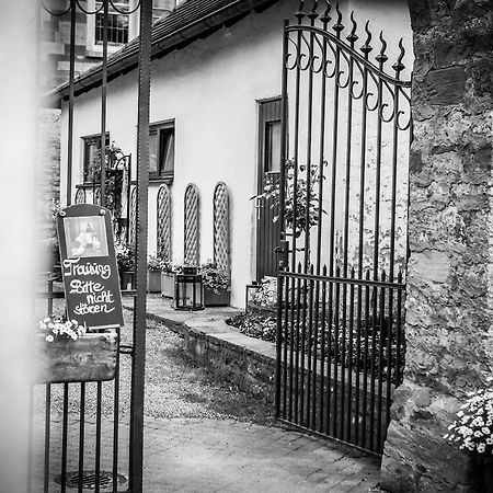 Schloss Neuburg Hotel Mosbach  Buitenkant foto